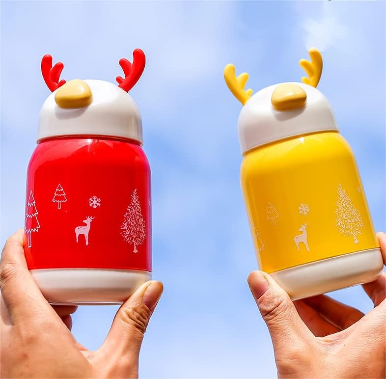 Small Premium Water Bottle Insulated Glass Bottle with Outer Plastic Cover