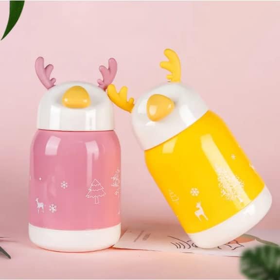 Small Premium Water Bottle Insulated Glass Bottle with Outer Plastic Cover