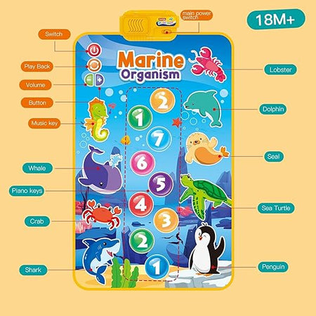 Musical Mat for Kids Ages 3+ - Marin Animals | Baby Piano Play Mat with 8 Vehicle Sounds | Interactive Musical Keyboard Early Learning Toy