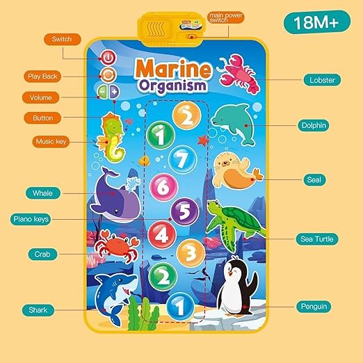 Musical Mat for Kids Ages 3+ - Marin Animals | Baby Piano Play Mat with 8 Vehicle Sounds | Interactive Musical Keyboard Early Learning Toy