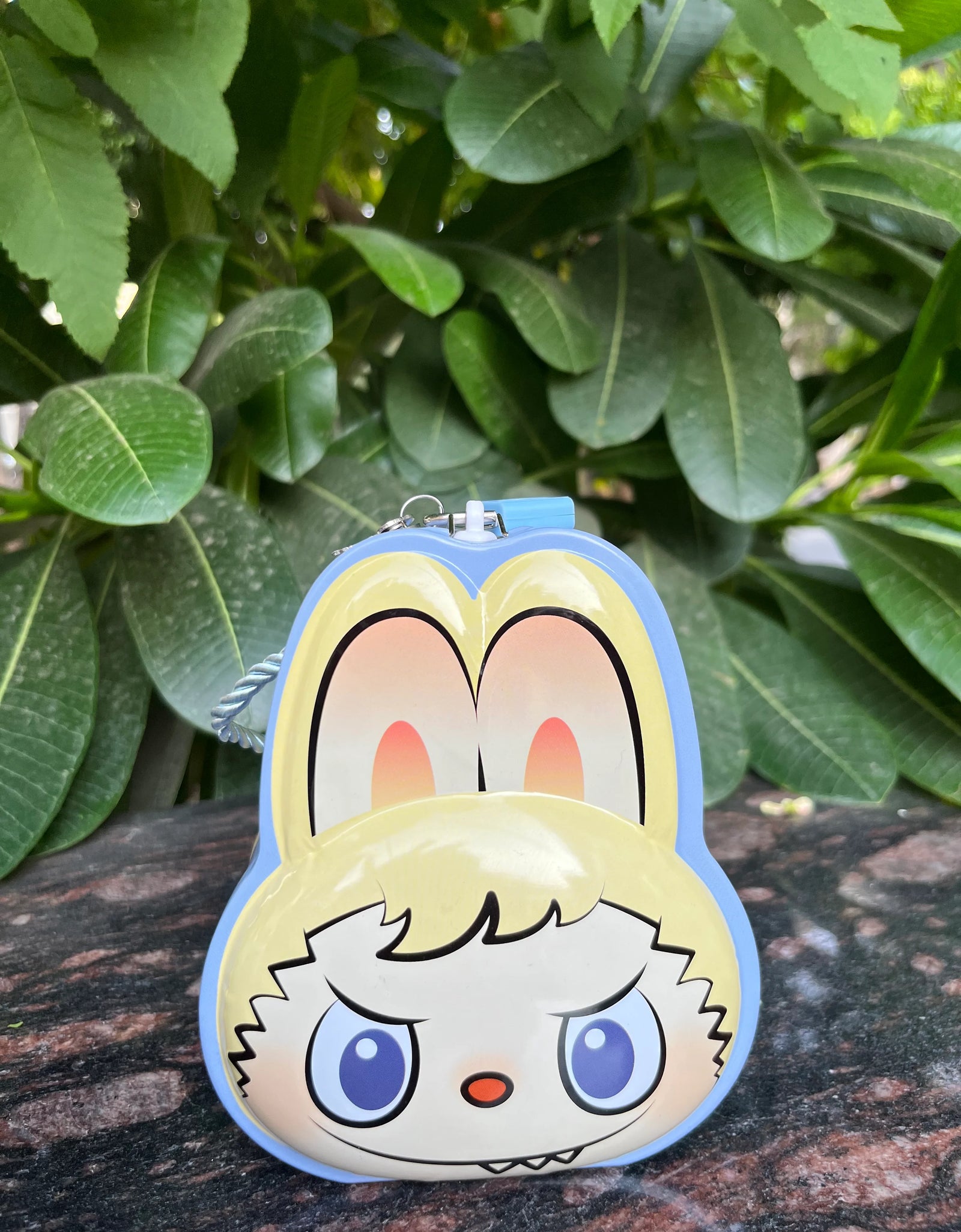 Cartoon character face-shaped pouch on a stone surface with green leaves in the background